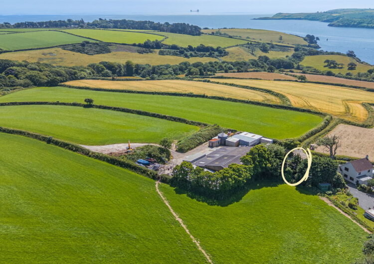 Mawnan Smith, Falmouth property image